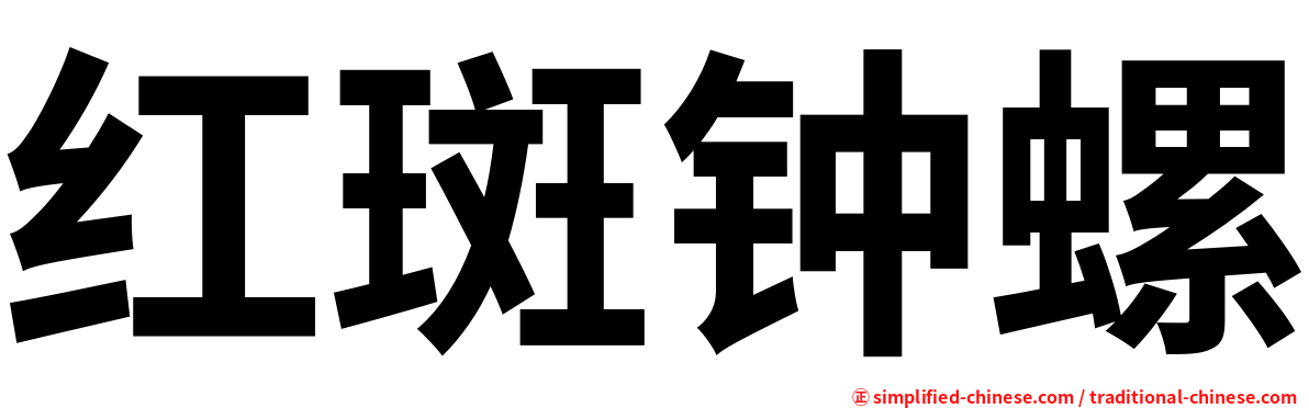 红斑钟螺