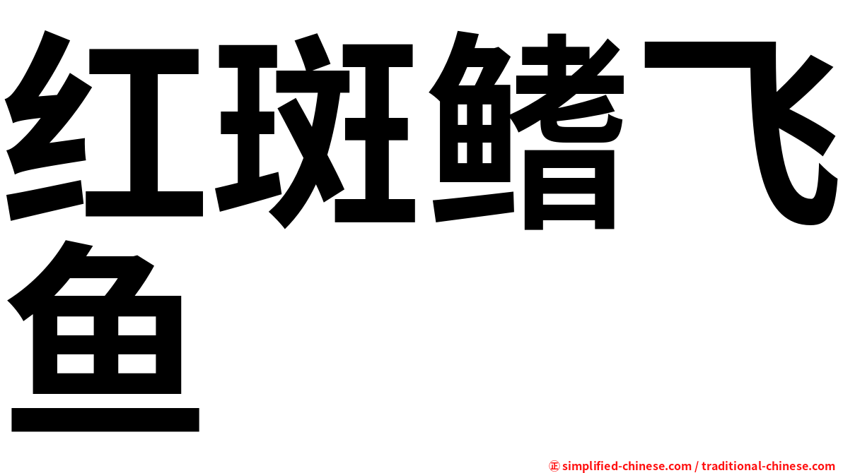 红斑鳍飞鱼
