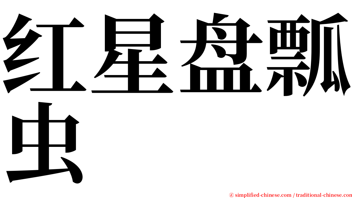 红星盘瓢虫 serif font