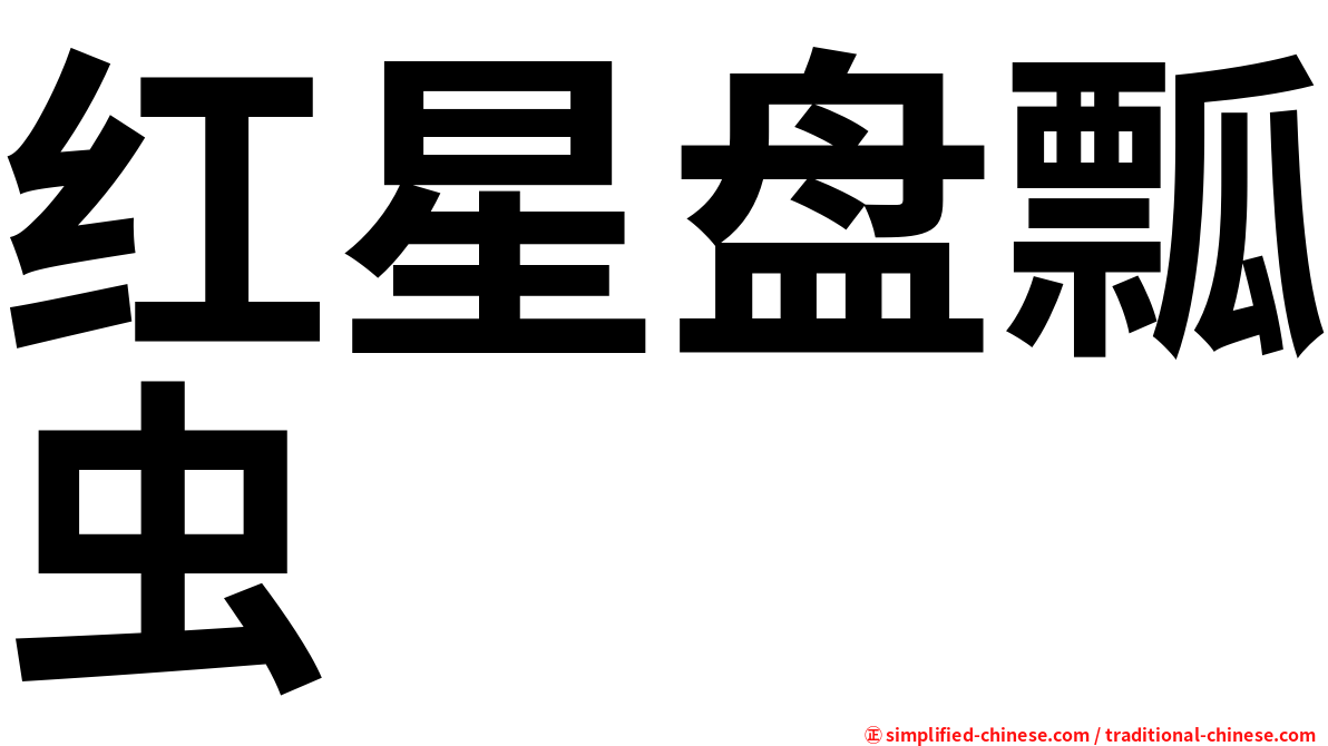 红星盘瓢虫