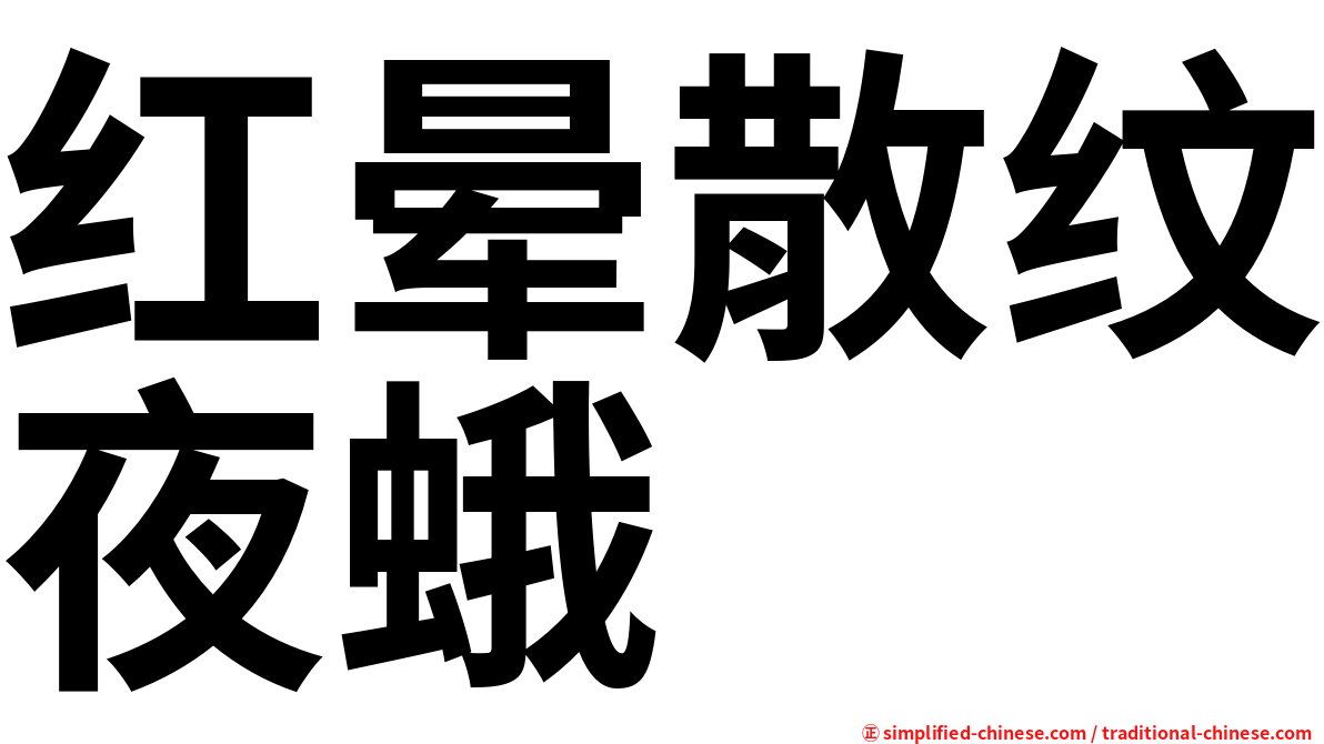 红晕散纹夜蛾