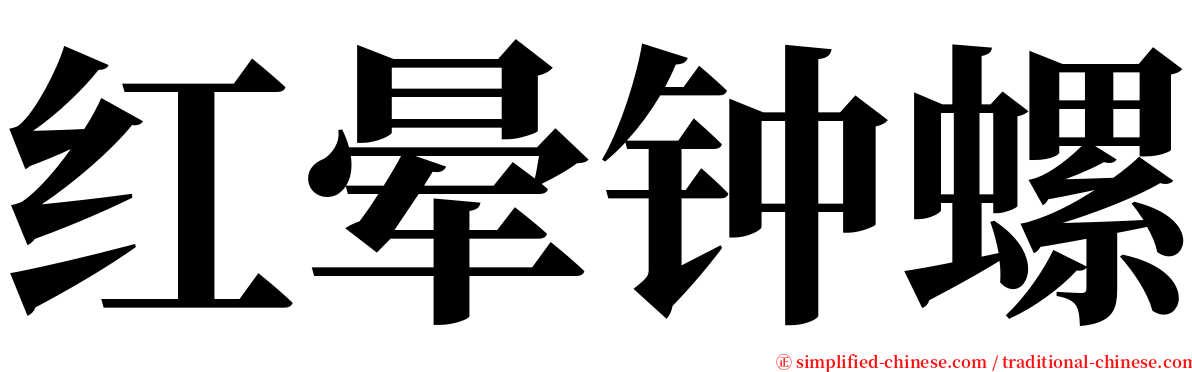 红晕钟螺 serif font