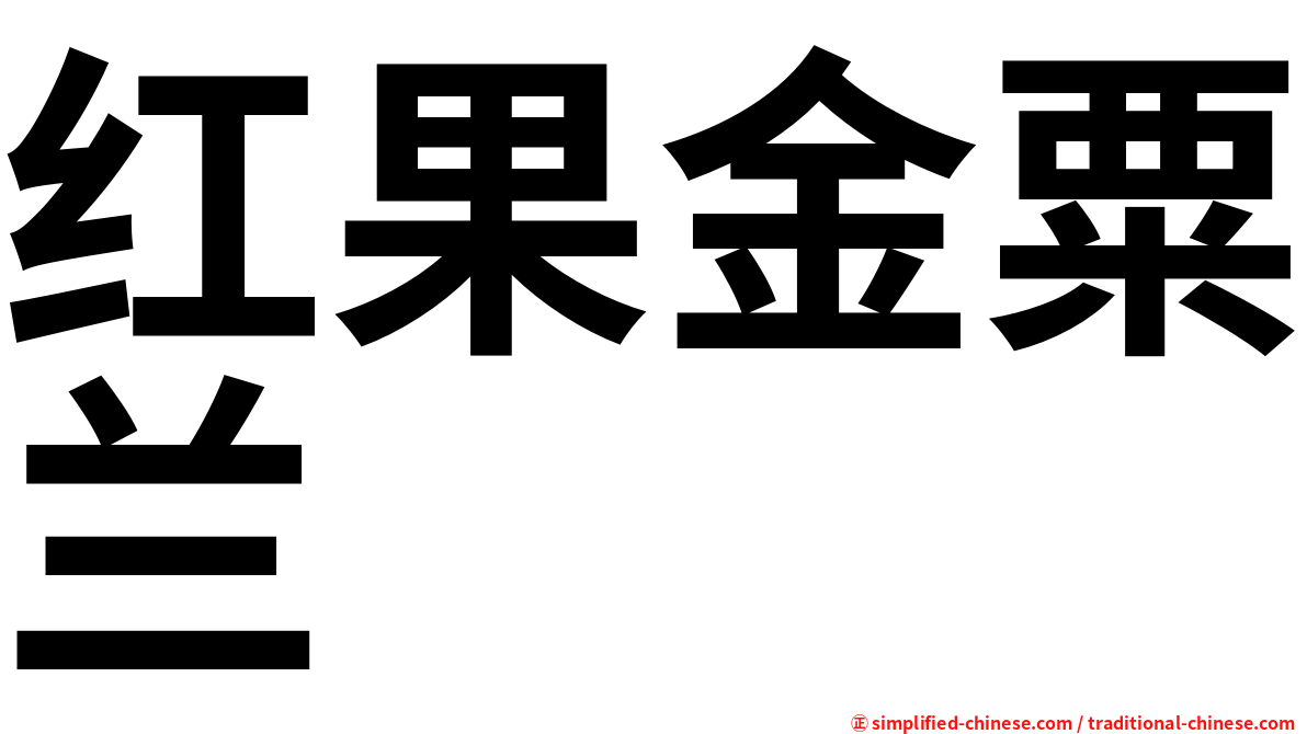红果金粟兰