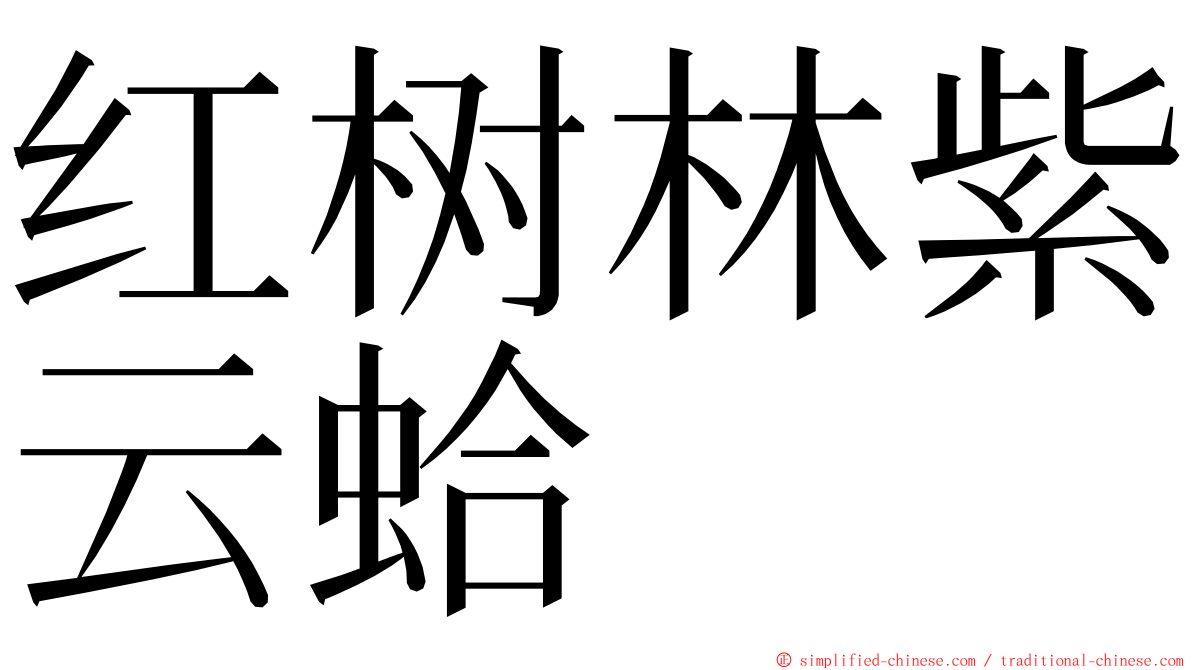 红树林紫云蛤 ming font