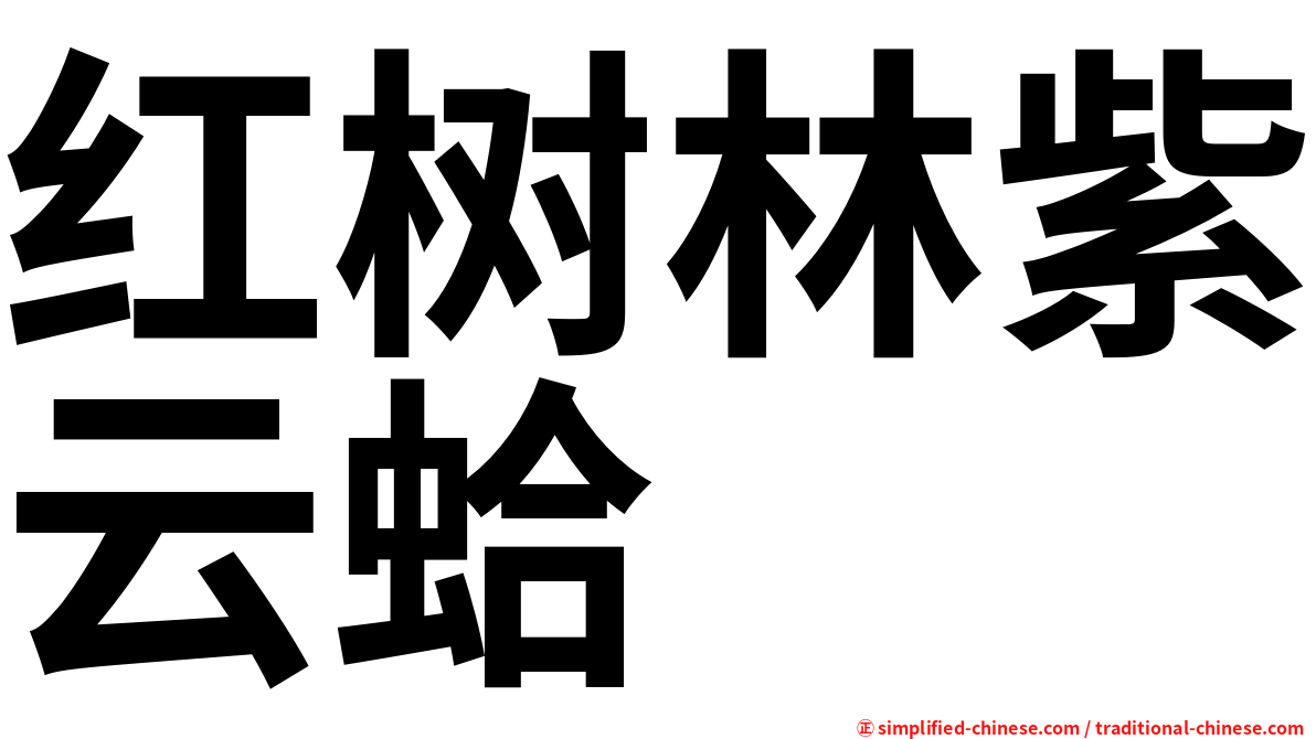 红树林紫云蛤