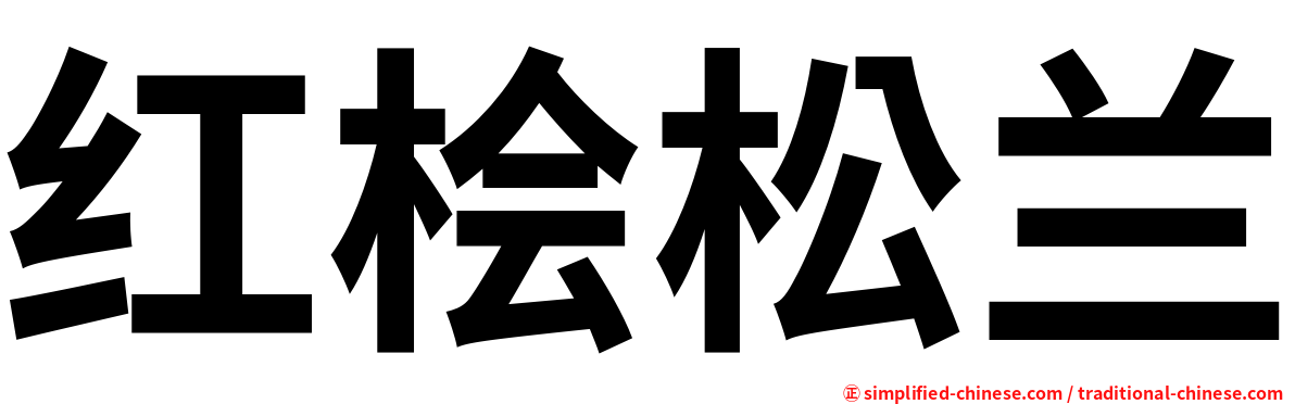 红桧松兰
