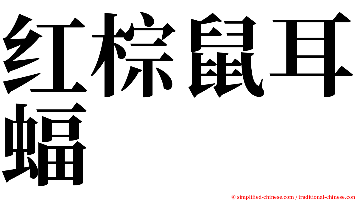 红棕鼠耳蝠 serif font