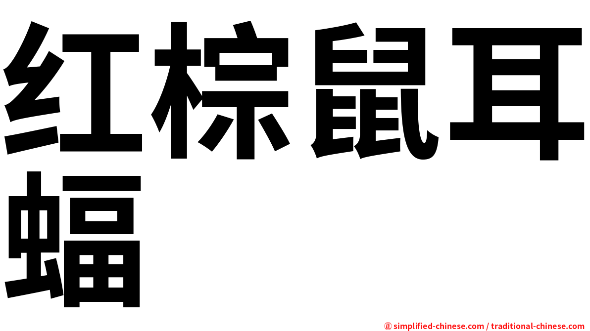 红棕鼠耳蝠