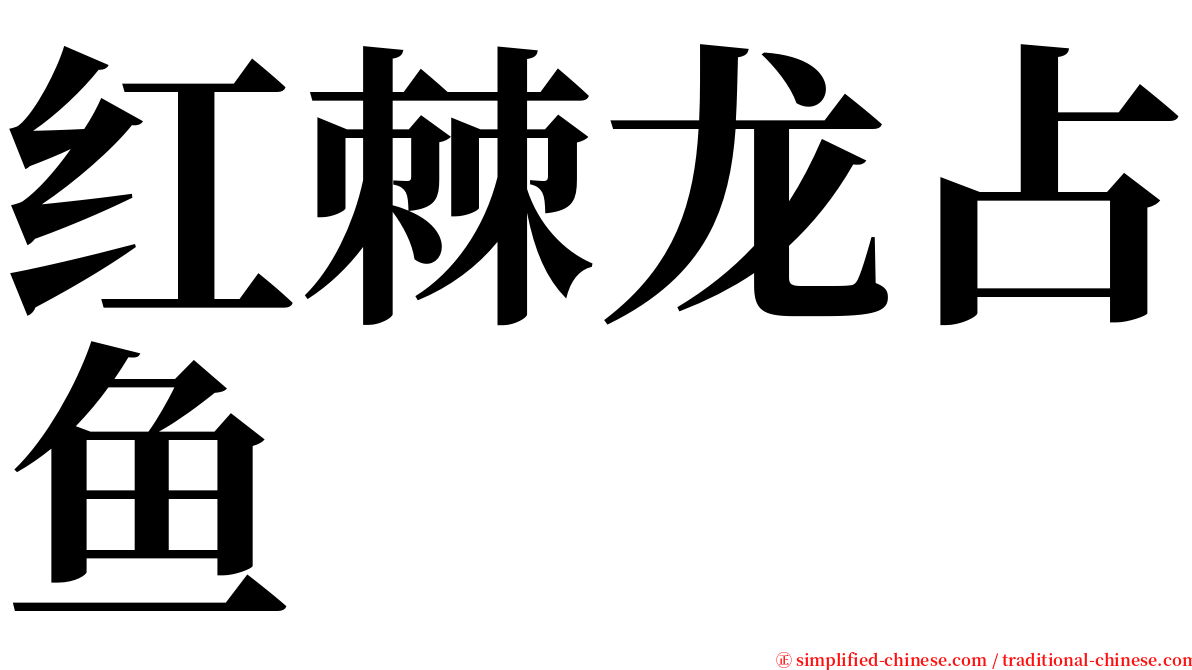 红棘龙占鱼 serif font
