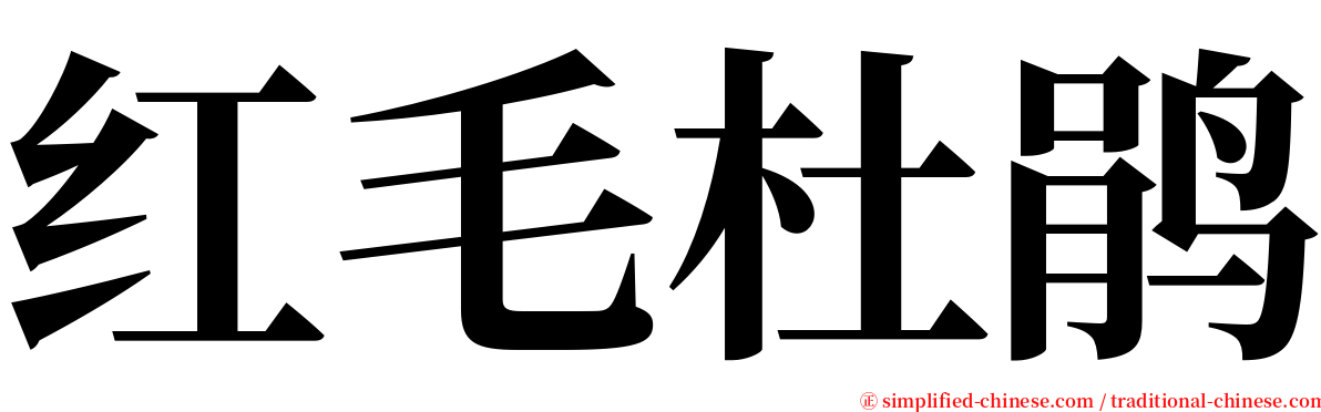 红毛杜鹃 serif font