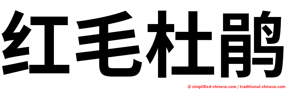 红毛杜鹃