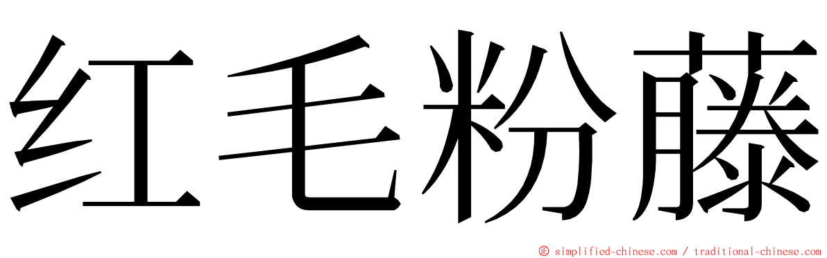 红毛粉藤 ming font