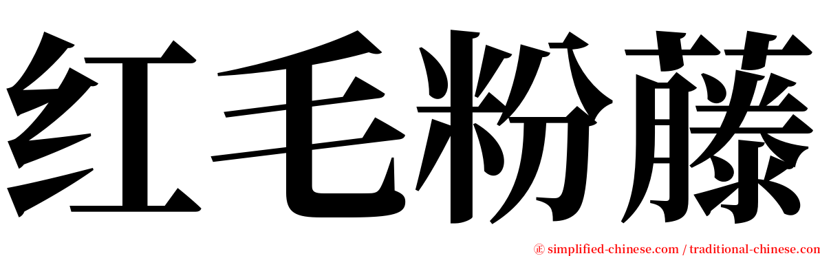红毛粉藤 serif font