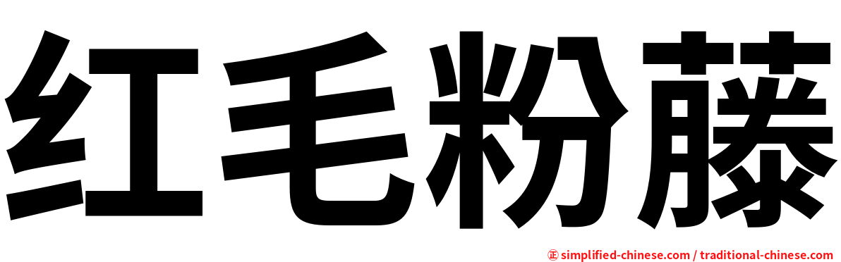 红毛粉藤