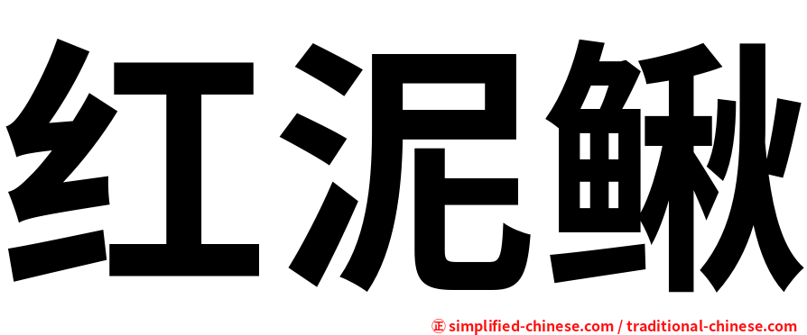 红泥鳅