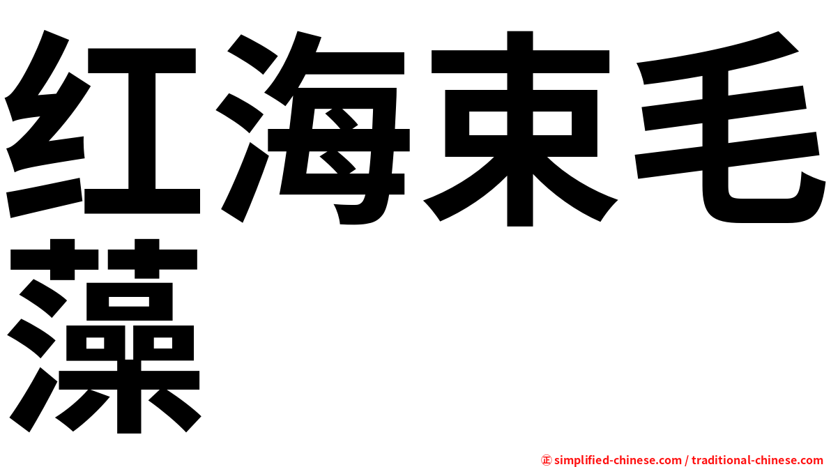 红海束毛藻