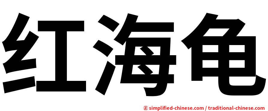 红海龟