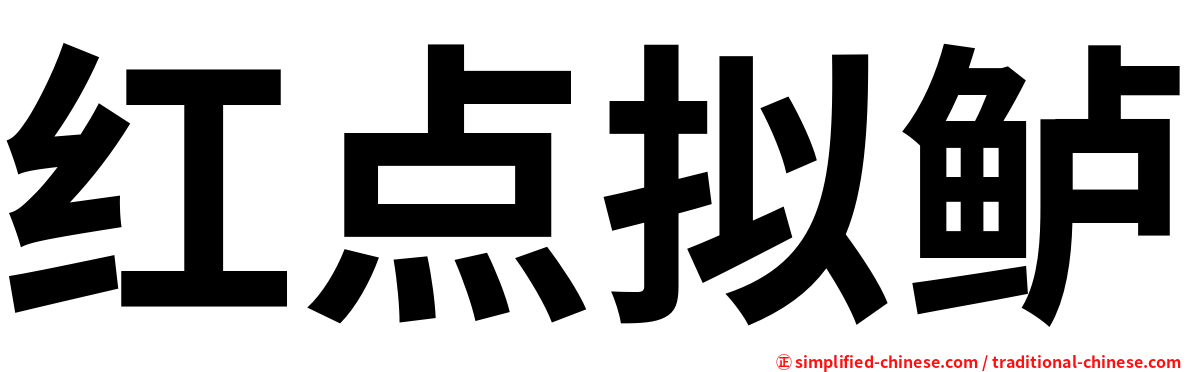 红点拟鲈