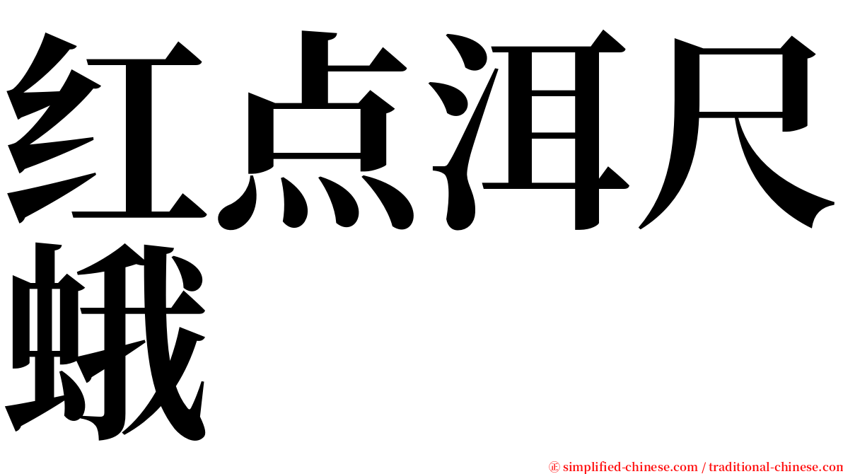 红点洱尺蛾 serif font