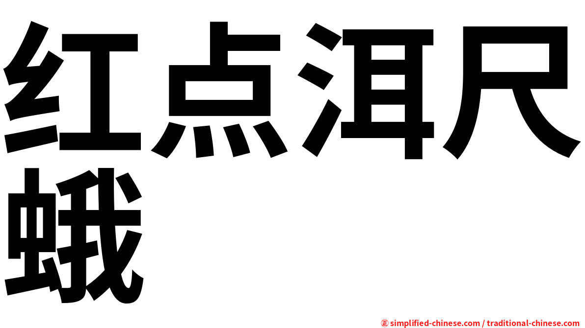 红点洱尺蛾