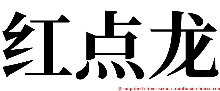 红点龙 serif font
