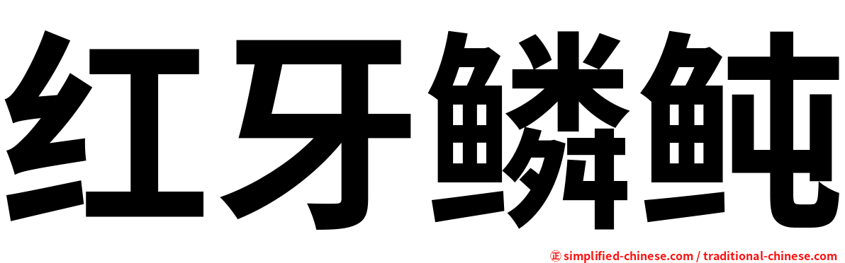 红牙鳞鲀
