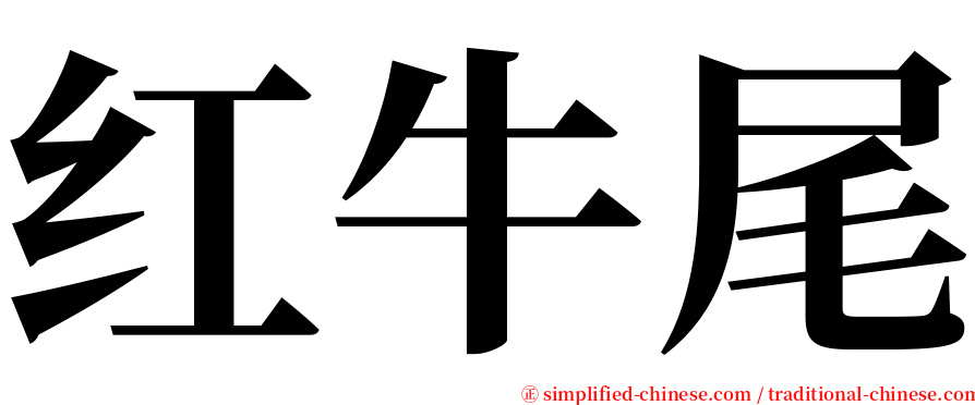 红牛尾 serif font
