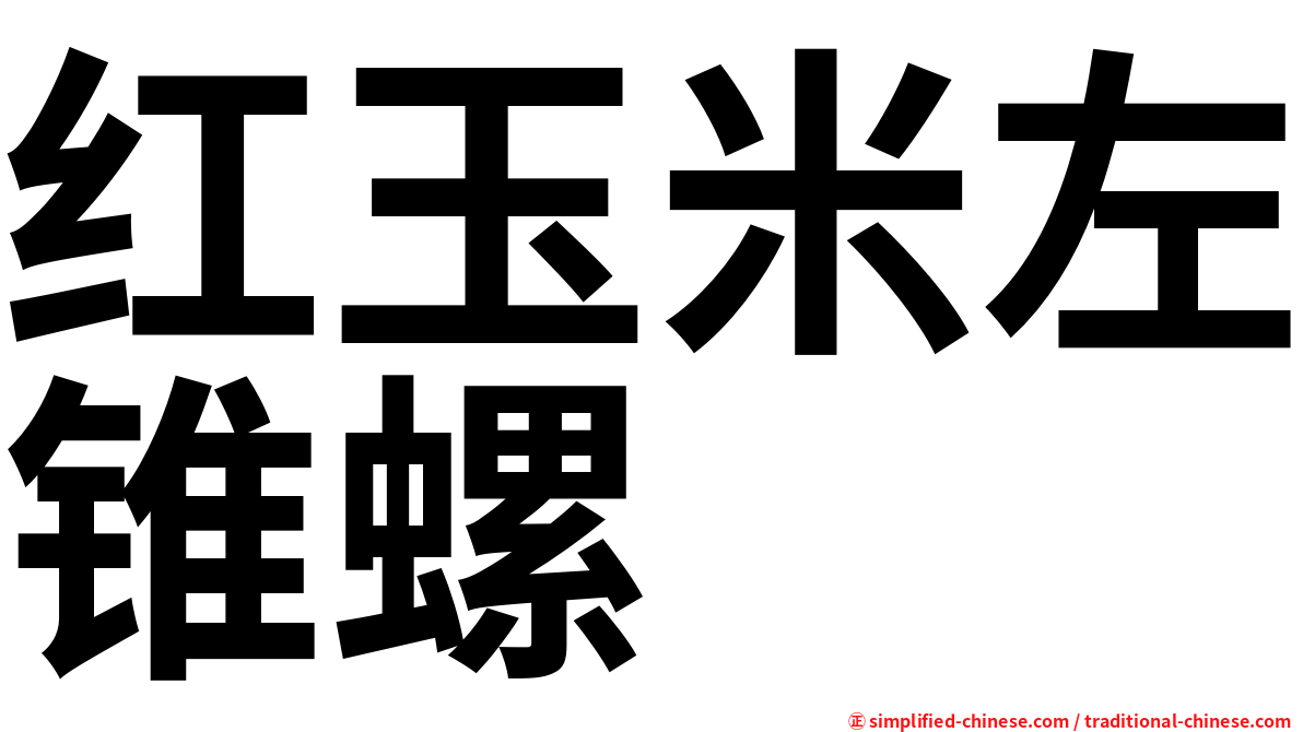 红玉米左锥螺