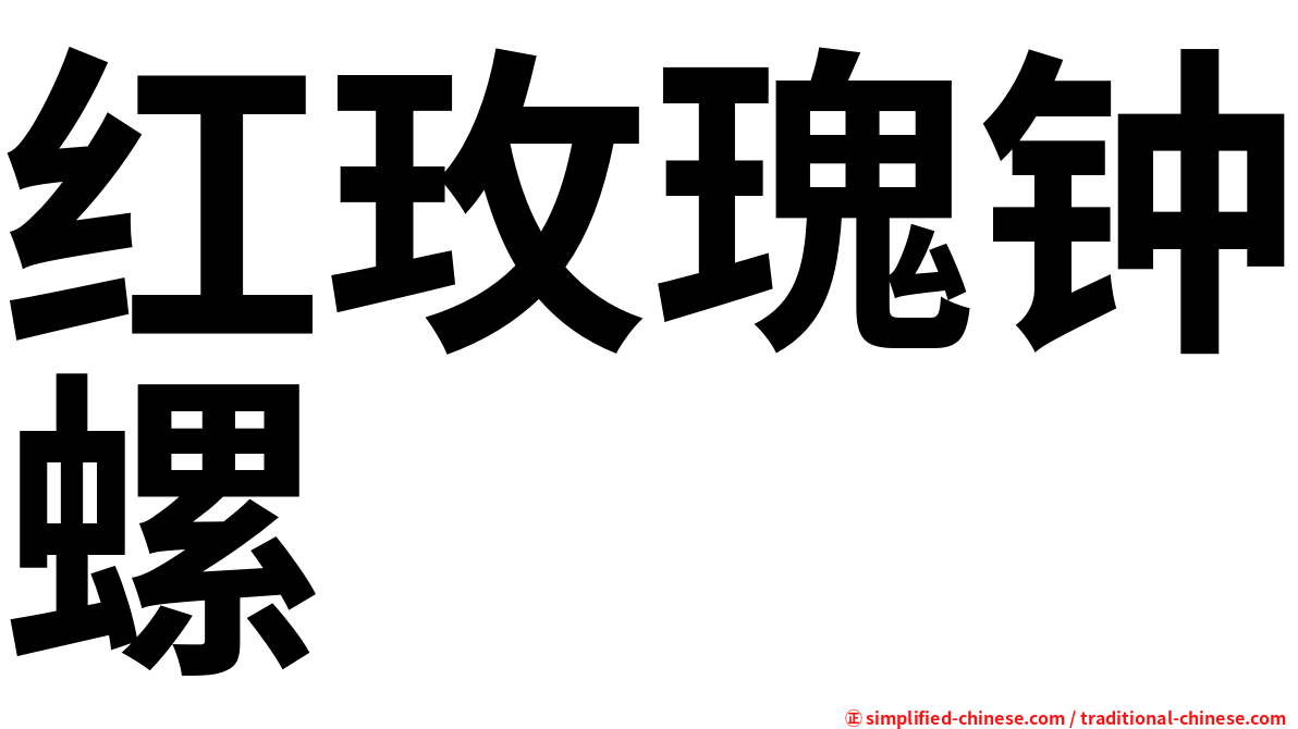 红玫瑰钟螺