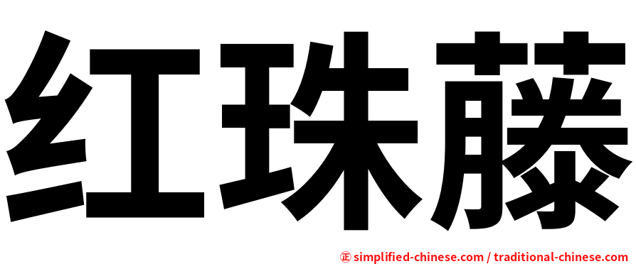 红珠藤