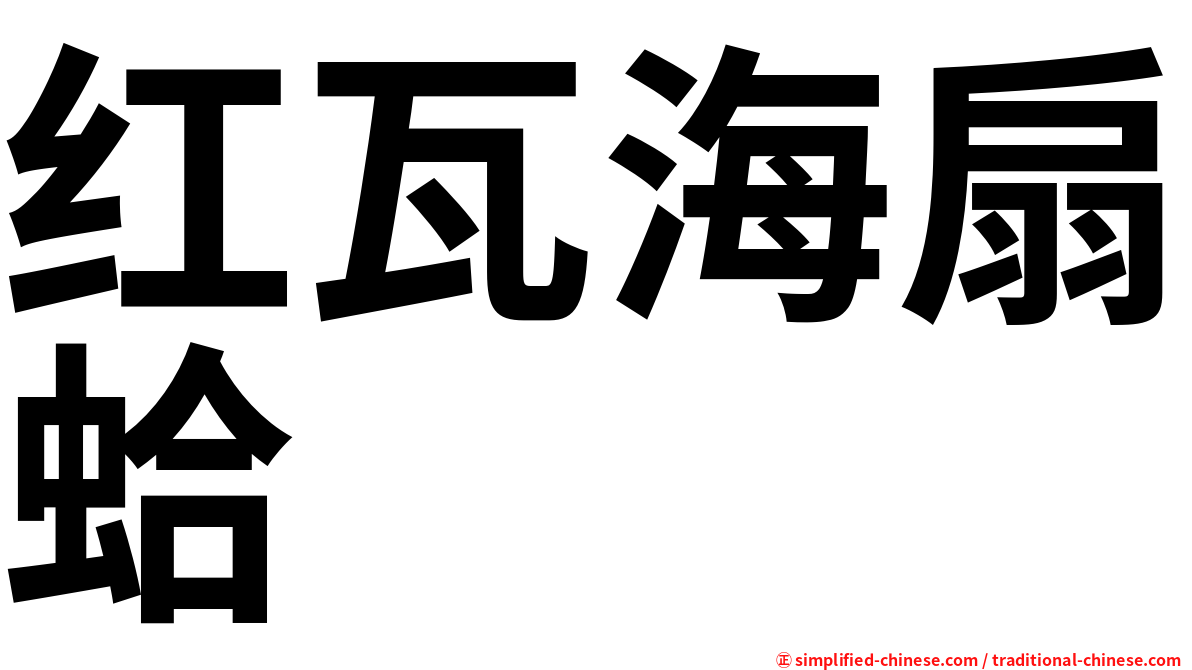 红瓦海扇蛤
