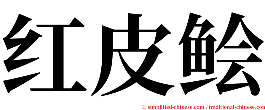红皮鲙 serif font