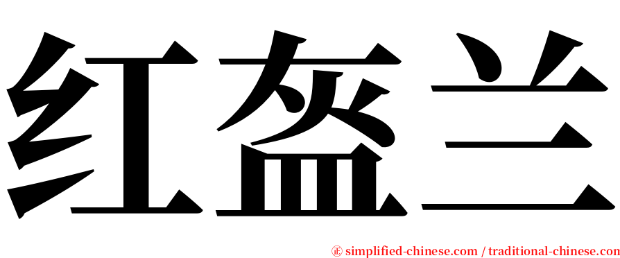 红盔兰 serif font