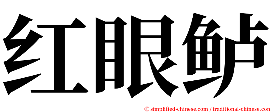 红眼鲈 serif font