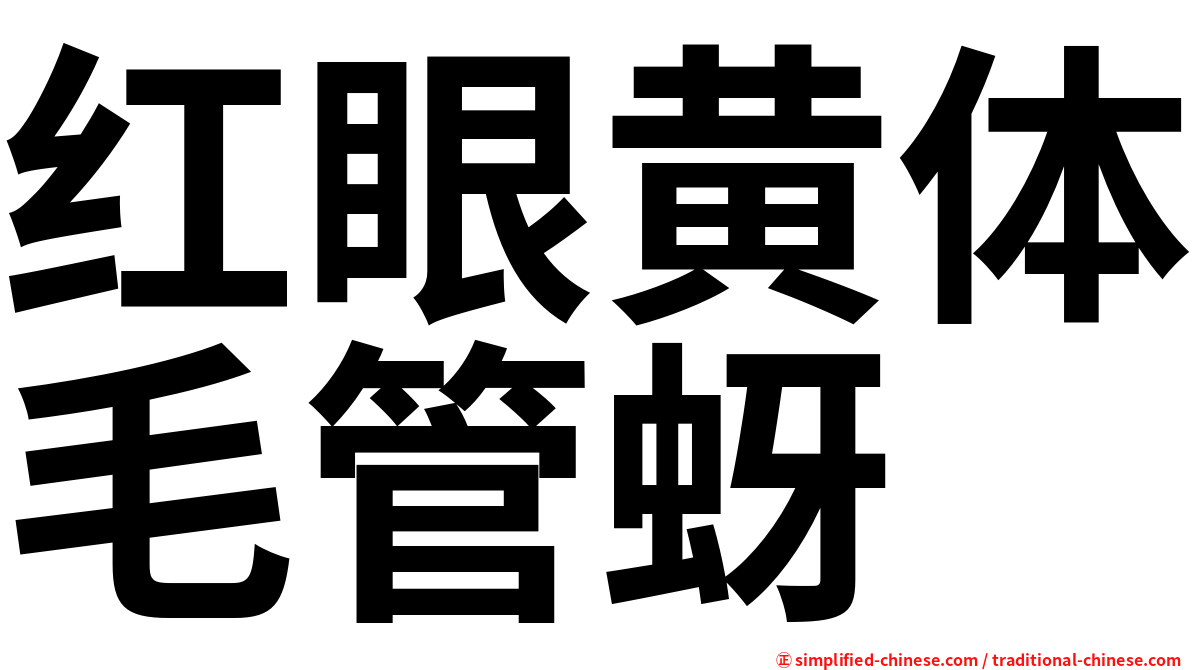 红眼黄体毛管蚜
