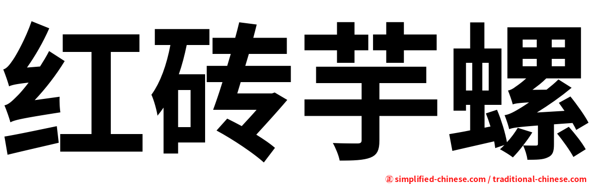 红砖芋螺
