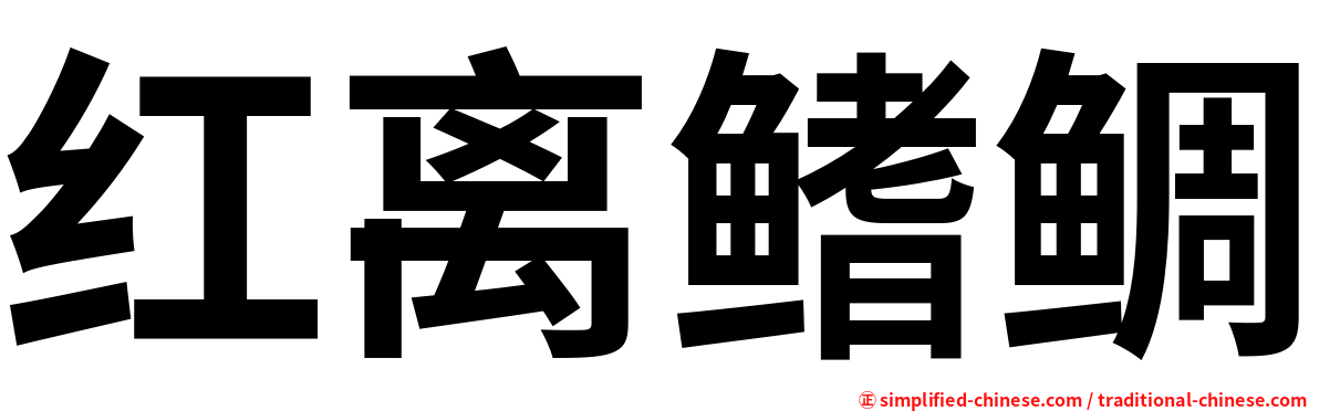 红离鳍鲷
