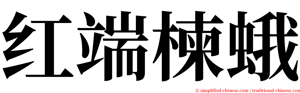 红端楝蛾 serif font