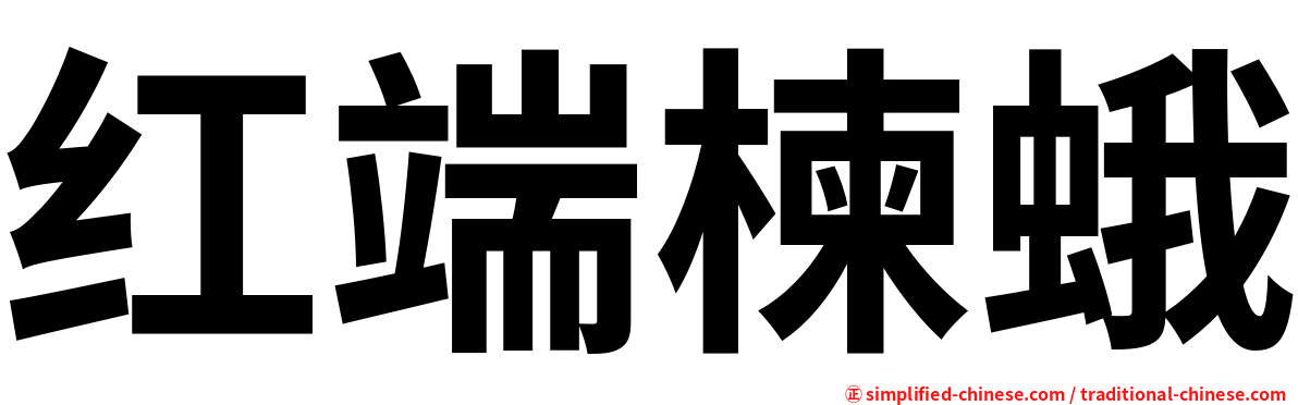 红端楝蛾
