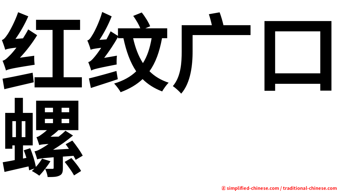 红纹广口螺