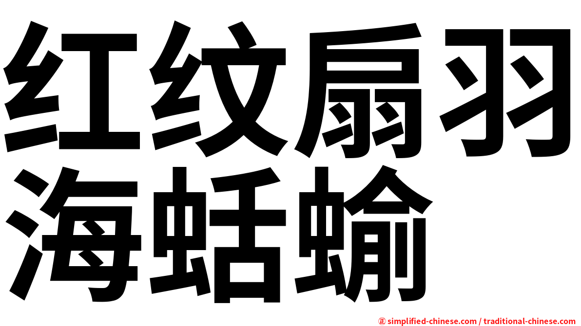 红纹扇羽海蛞蝓
