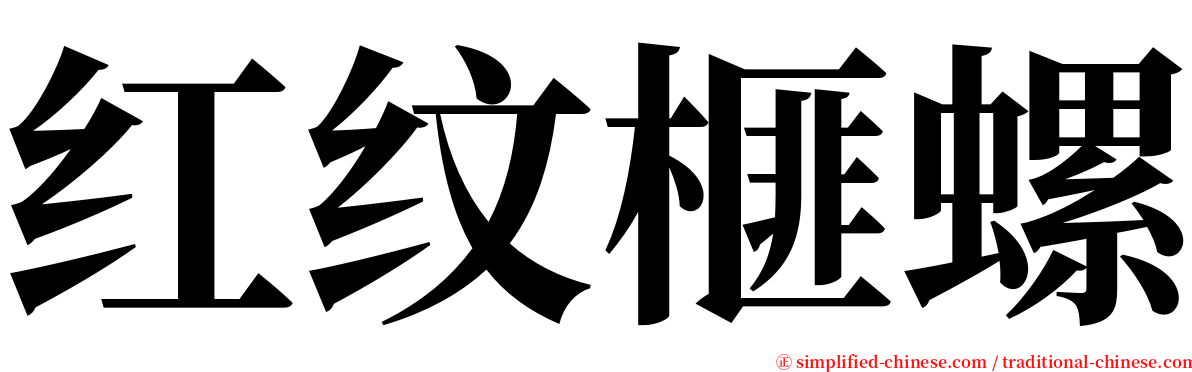 红纹榧螺 serif font