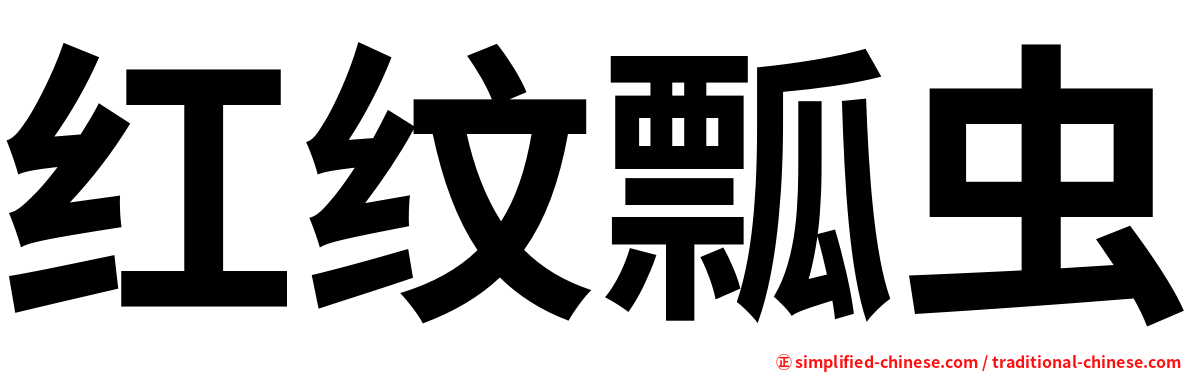 红纹瓢虫