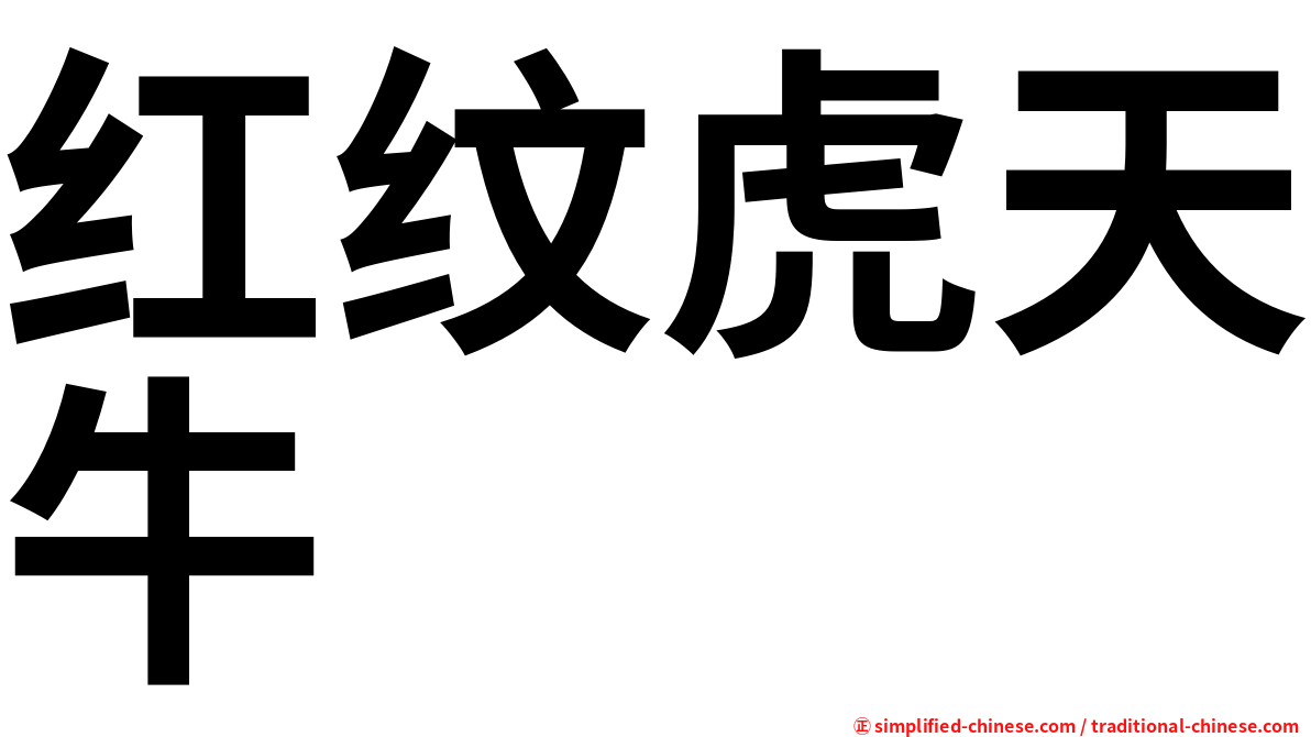 红纹虎天牛