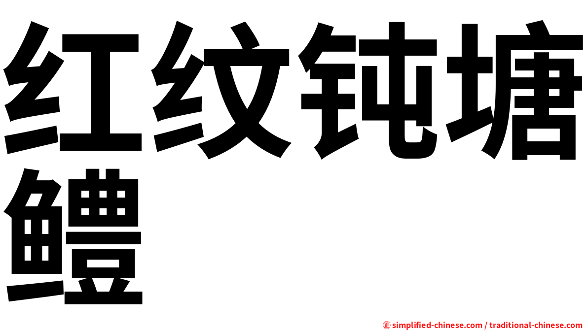 红纹钝塘鳢