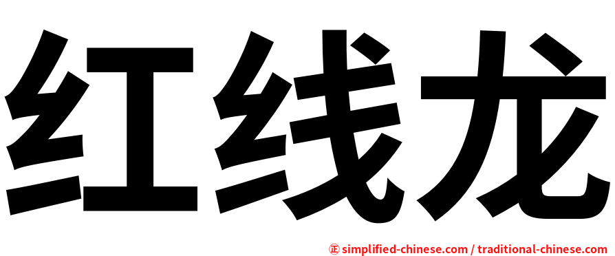 红线龙