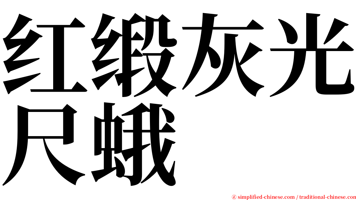 红缎灰光尺蛾 serif font
