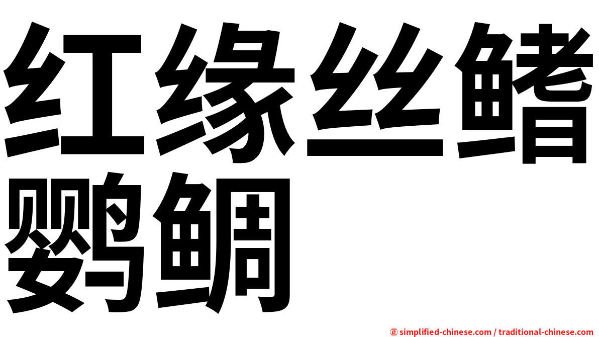 红缘丝鳍鹦鲷
