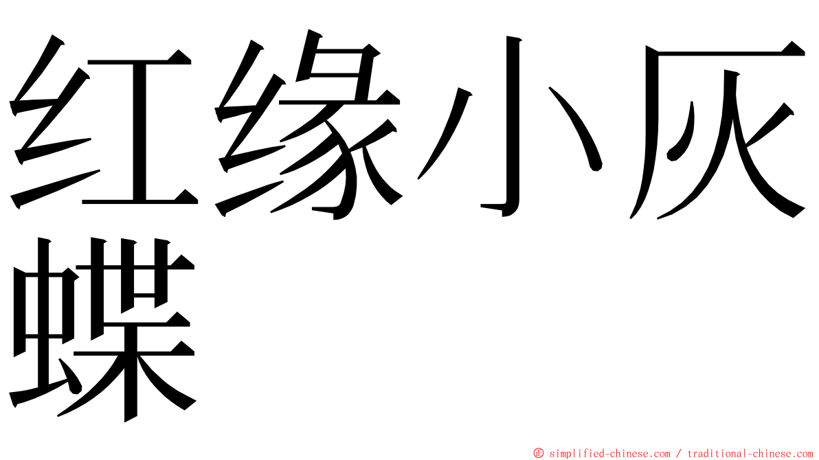 红缘小灰蝶 ming font