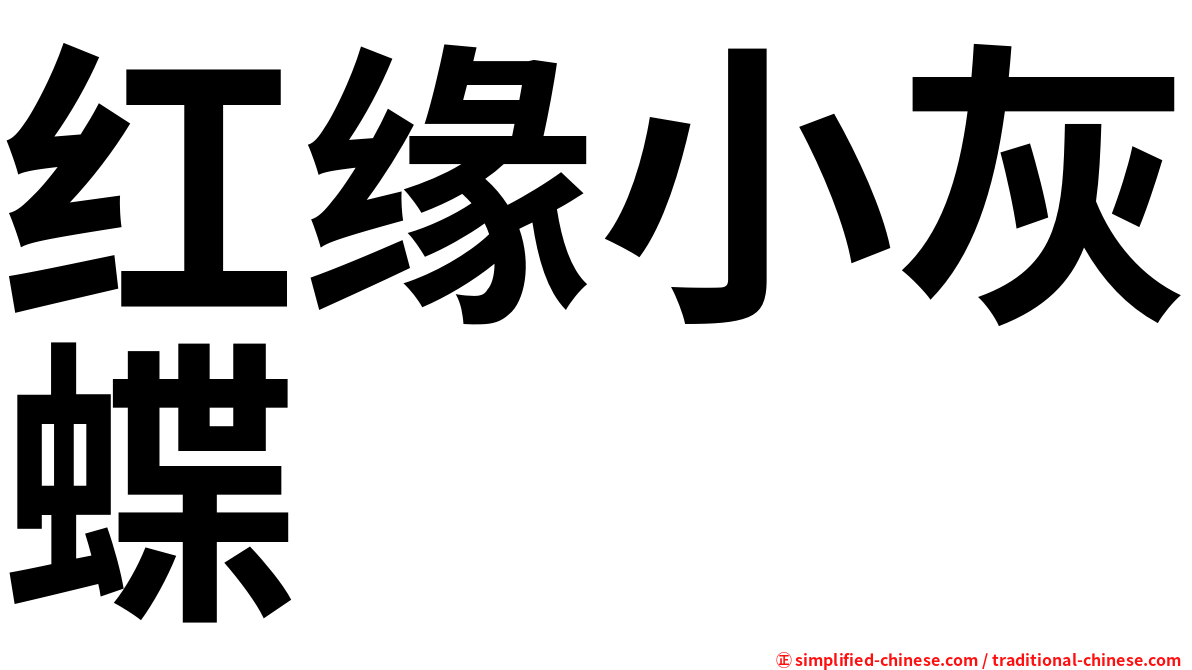 红缘小灰蝶